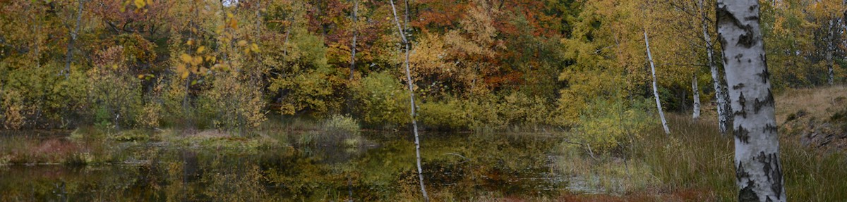 Foto: Julia Isler